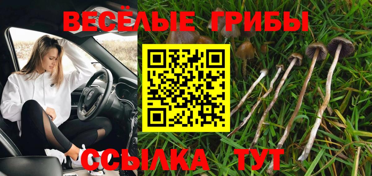 Галлюциногенные грибы мухоморы  купить наркотики сайты  Карачаевск  Вход с VPN 